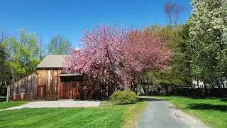 Spring at Webb-Deane-Stevens