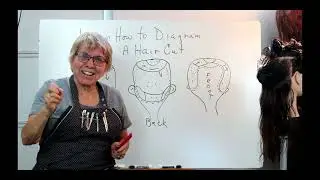 A to Z Cosmetology  Learn to Diagram a Hair Cut