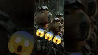 🪖 🫡 Ej&eacute;rcito Capibara 🪖😱 Comando Elite 🪖