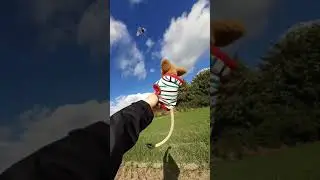 Drachensteigen mit der Springmaus