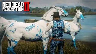 Discovering and Taming a Rare Blue and White American Paint Horse at Saint Denis