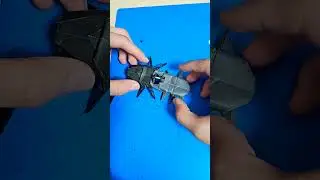 dynastinae stag beetle