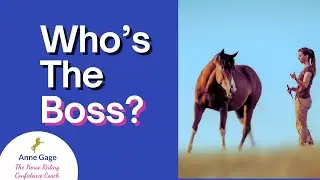 Horse Training Without Force