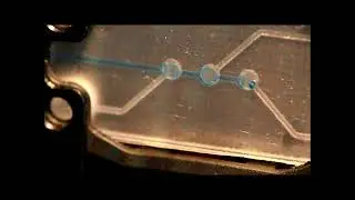 Micronit's microfluidic dosing system