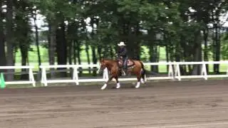 Junior horse Champion HSS2015