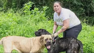 Have you seen her? Police search for woman after dog attacks bicyclist