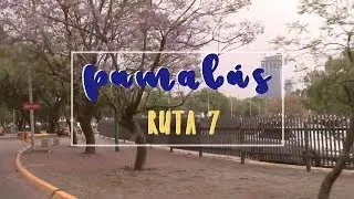 Pumab&uacute;s - Ruta 7