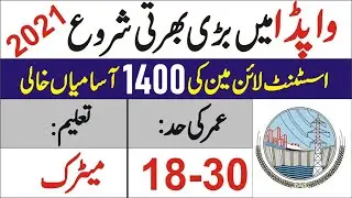 WAPDA Jobs 2021 || Wapda Assistant Lineman ALM jobs 2021 ||  WAPDA Jobs 2021  ( Total Post 1471 )