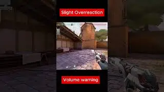 Slight Overreaction #999 #valorant #acegaming #valorantclips #volumewarning