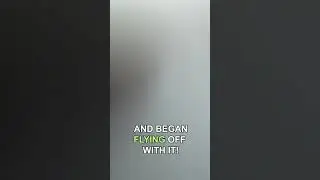Eagle attacks drone 😮🦅
