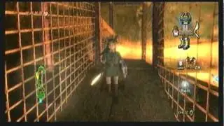 Legend of Zelda Twilight Princess Walkthrough 07 (1/6) 