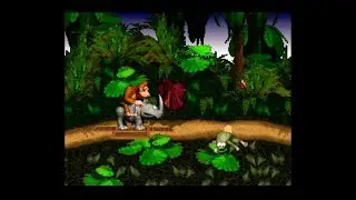 Donkey Kong Country Walkthrough 101% - World 1: Kongo Jungle