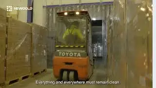 Life at NewCold as a Forklift driver