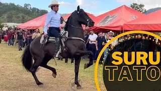 ⭐ CABALLOS BAILADORES EN LA CABALGATA SURUTATO 2022 - 4K P1