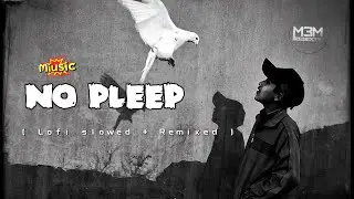 | NO PLEEP SONG | 🎶 LOFI SLOWED SONG, PLEASE SABACUBE #sadlofi #remixsong #copyrightfree 