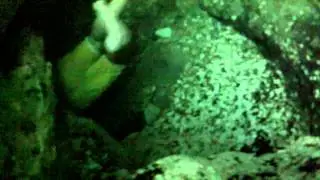 Wekiwa Springs Cave Diving