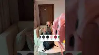 ZAINO VIRALE CHE PASSA GRATIS SU TUTTI I VOLI ✈️🎒