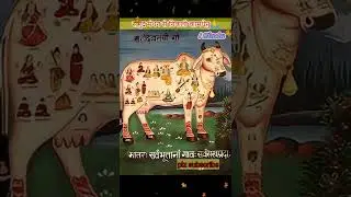 क्या कामधेनु  🐄 गाय  माता होती थी ??🌺🙏 | #kamdhenu #mata #shorts