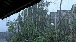 Real Shingle Rain Recorded Naturally 🌧️ Tin Roof Rain for Sleep 