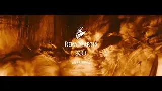RÉMY MARTIN XO | EXCELLENCE TAKES TIME, TASTE IT NOW