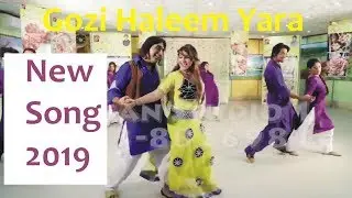 Gozi Haleem Yara |New Song Ad 2019|Waseem Hassan Sheikh