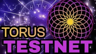 NEW 2025 WEALTH GENERATOR INCOMING? | Torus.win Dapp REVEAL and TESTNET Launch