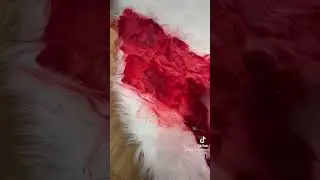 DIY TAPIS MULTICOLORE | PARTIE 1/1