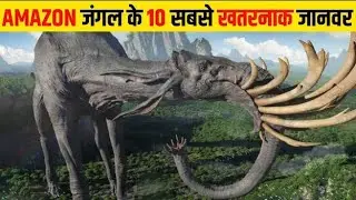 अमेज़न जंगल के 10 सबसे खतरनाक जानवर | 10 dangerous animals of Amazon jungle,