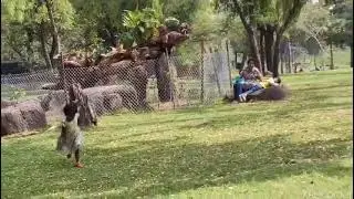 Feeding kids at the park|A day of smiles and snacks |😍