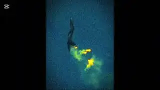 Super fenix ritimada slowed