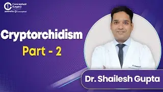 Cryptorchidism Treatment Strategies by Dr. Shailesh Gupta