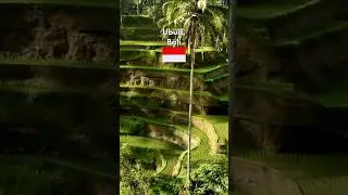 This Is Why People Never Leave Ubud Bali #bali #wanderlust #paradise