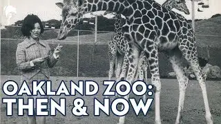 Oakland Zoo - Then and Now