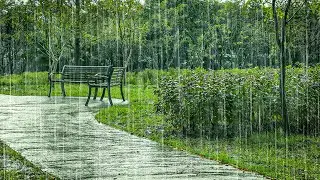Coziest Rain ASMR from Under Warm Covers | Winter Sleep Aid, Insomnia Relief White Noise ASMR