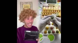 🤣👌👌👌2026 pov Must-Watch Crazy Clips Compilation #humor #fypシ #pov #fyp #foryou 😍😜