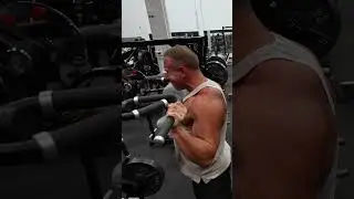 Tectone misses these noises #knut #tectone #ironforgegym