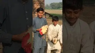 My New Hens 🐓 | Pind Di Zindagi