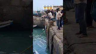 wow! yellowfin tuna fish viral video #shorts #fishing #fish #reels #trending #fyp #tiktok