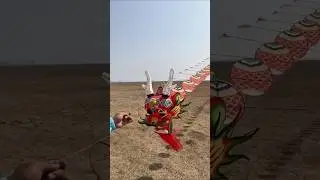 I Tried Flying a Giant Dragon Kite That Weighs 10KG and This Happened... 🤯🐉 #layangan #shorts