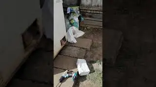 Construiesc case modulare din panouri izolate detali  0748596225 ma deplasez &icirc;n toată țara