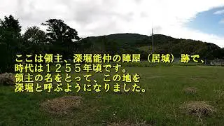 長崎市深堀町のアコウの木20241024