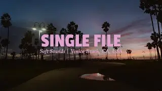Delta Sleep - Single File | Soft Sounds ep8