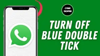 How to Turn Off WhatsApp Blue Double Tick Settings