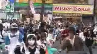 Haruhi dance at akihabara and police stopped it