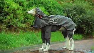 Horse & Dog Suppliers Factory-Dog raincoat，Available in a variety of colors.