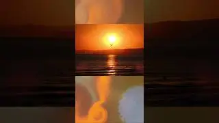 Чайка в Небе/Sky Gull/ from Music of Silence #short #relax #piano #sunset