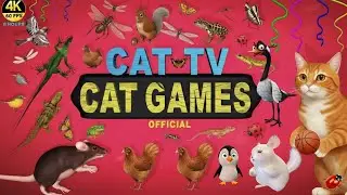 CAT GAMES🐾 Fish, Rat, Lizard, Birds, Duck & Insects! Ultimate Cat TV Compilation | 8 HRS 4K 60FPS