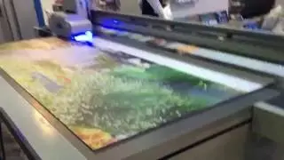 High Quality Digital UV Printing on Plastic/Acrylic Sheet
