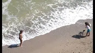 🤣🙈😅THE HUMAN PET 🙈 #Short Videos #Funny Videos