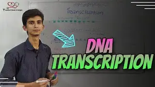 DNA transcription explained in bangla || Biochemistry